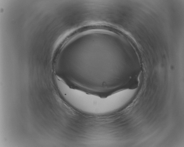 X0000075901319200610151806