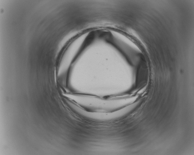 X0000075901320200610151806