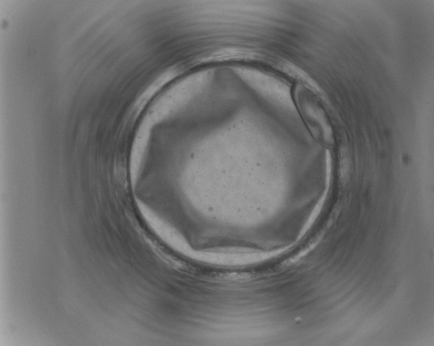 X0000075901321200610151806