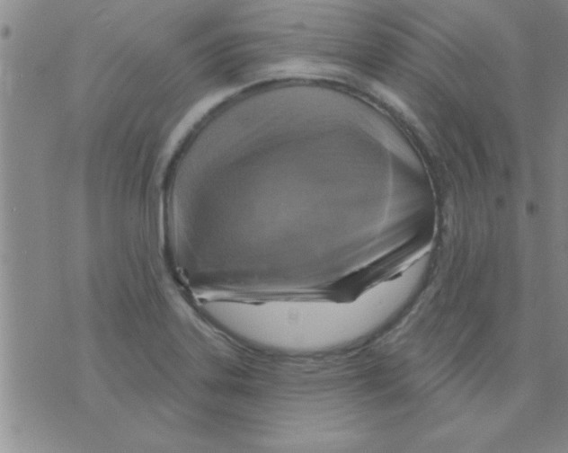 X0000075901323200610151806