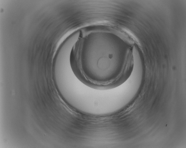 X0000075901324200610151806