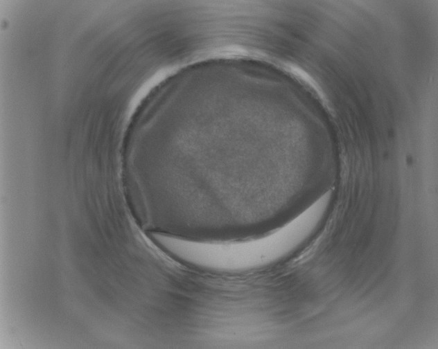 X0000075901326200610151806