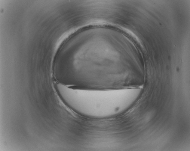 X0000075901327200610151806