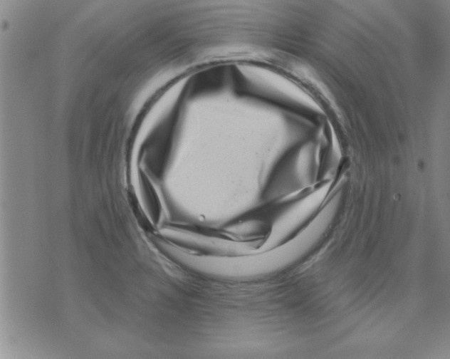 X0000075901328200610151806