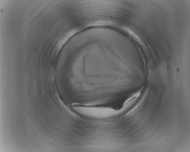 X0000075901329200610151806