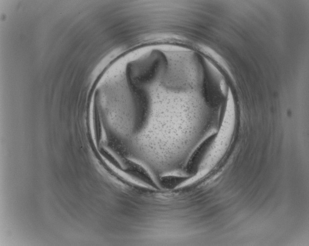 X0000075901330200610151806