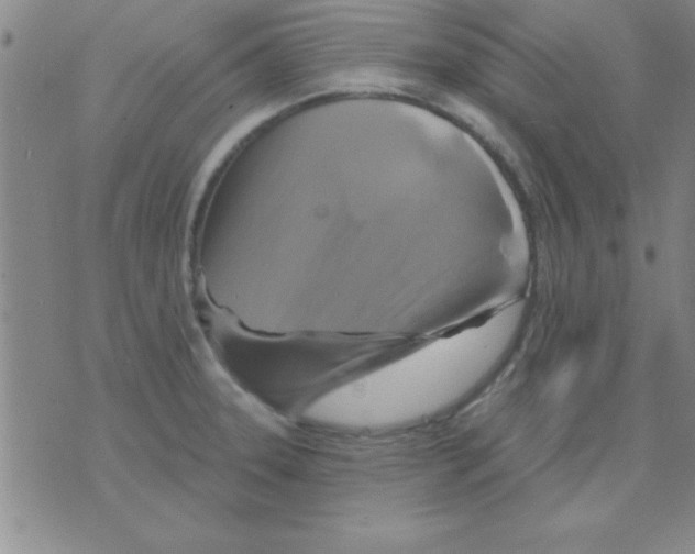 X0000075901331200610151806