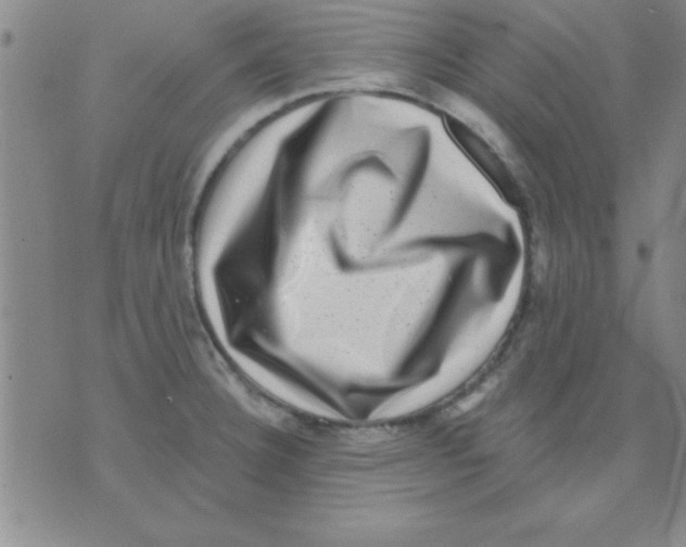 X0000075901332200610151806