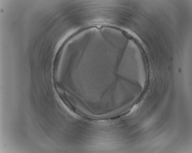 X0000075901333200610151806