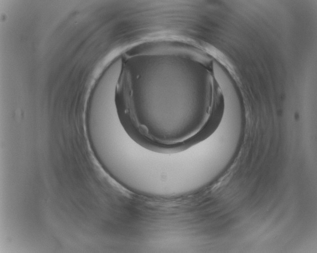 X0000075901334200610151806