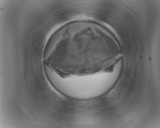 X0000075901335200610151806