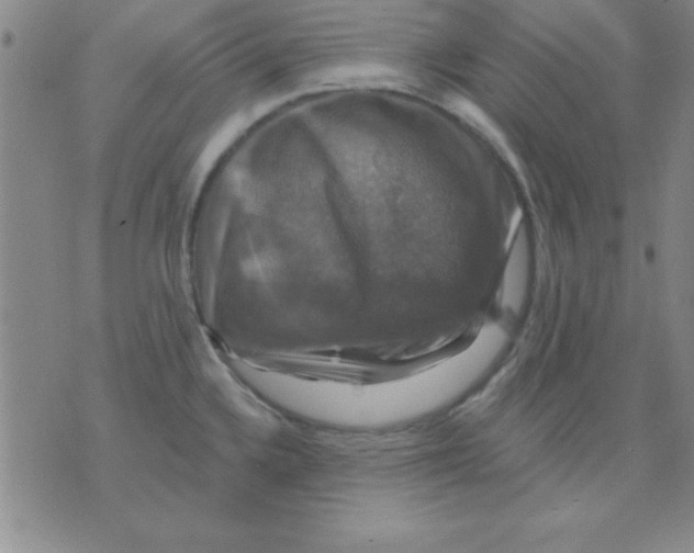 X0000075901336200610151806