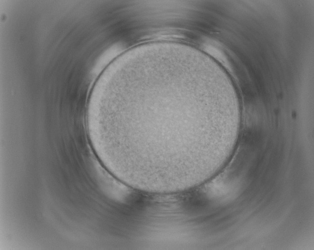 X0000075901338200610151806