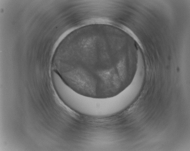 X0000075901339200610151807