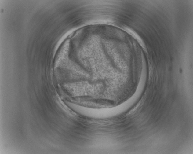 X0000075901340200610151807