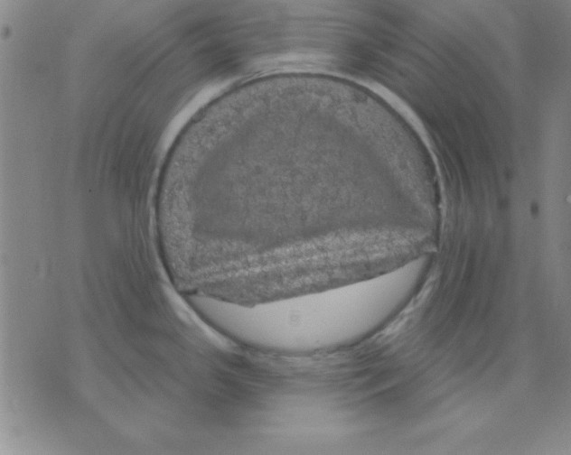 X0000075901341200610151807