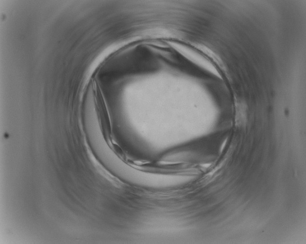 X0000075901342200610151807