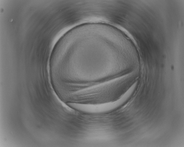 X0000075901343200610151807