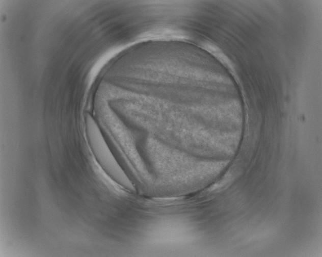 X0000075901344200610151807