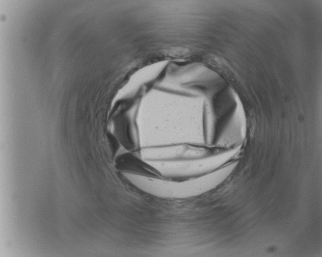 X0000075901345200610151806