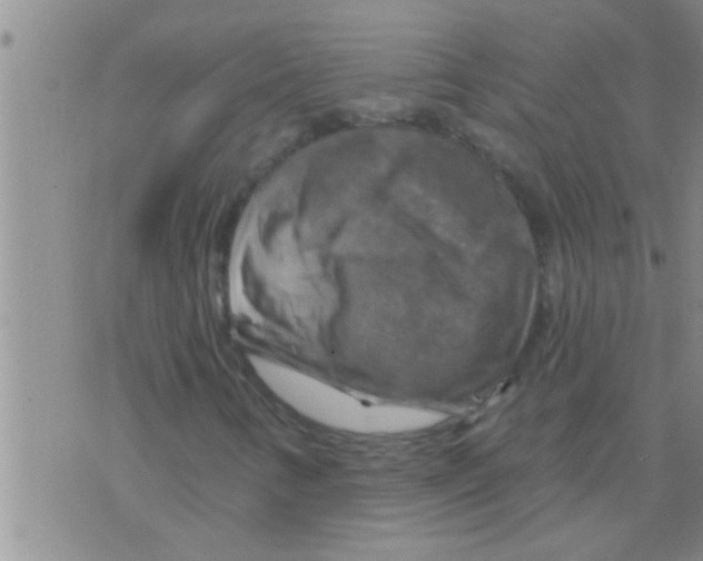 X0000075901346200610151806