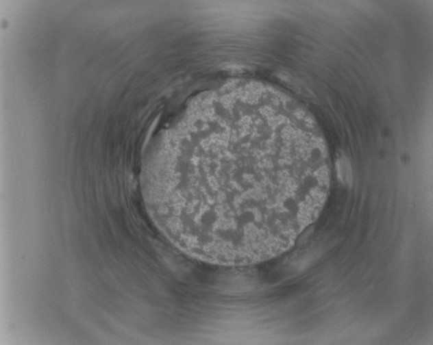 X0000075901347200610151806