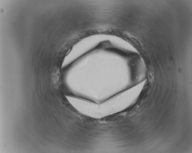 X0000075901349200610151806