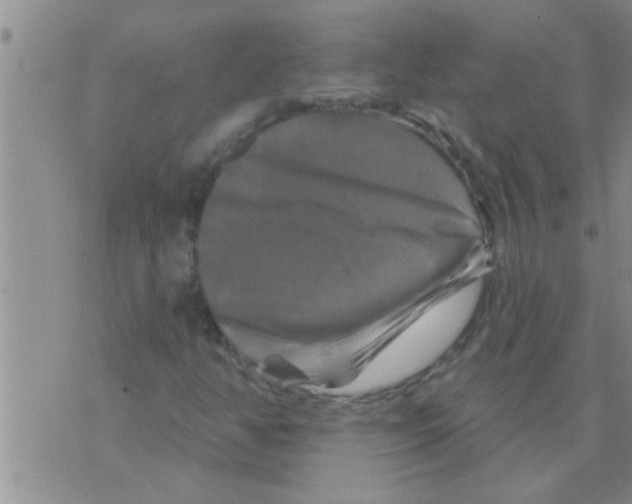 X0000075901350200610151806