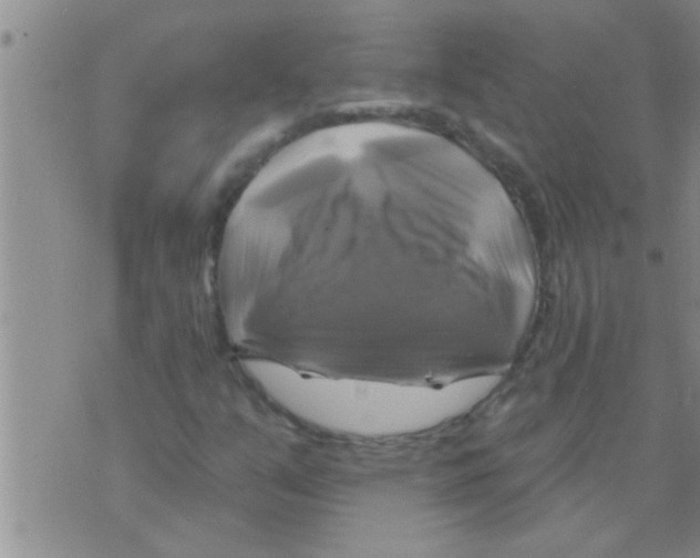 X0000075901351200610151806