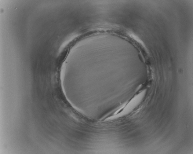 X0000075901352200610151806