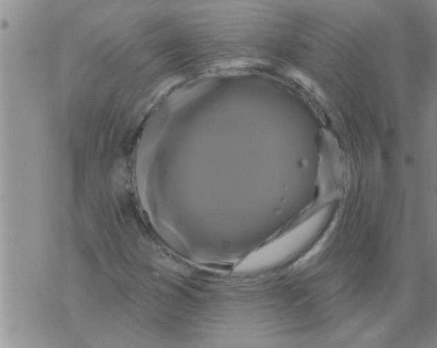 X0000075901353200610151806