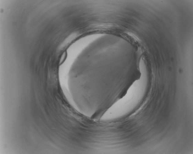 X0000075901354200610151806