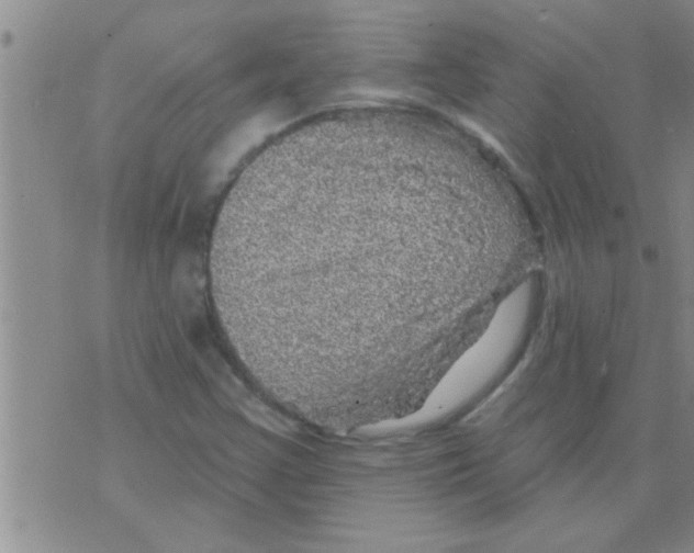 X0000075901355200610151806