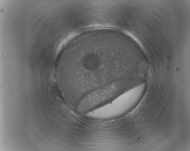 X0000075901357200610151806