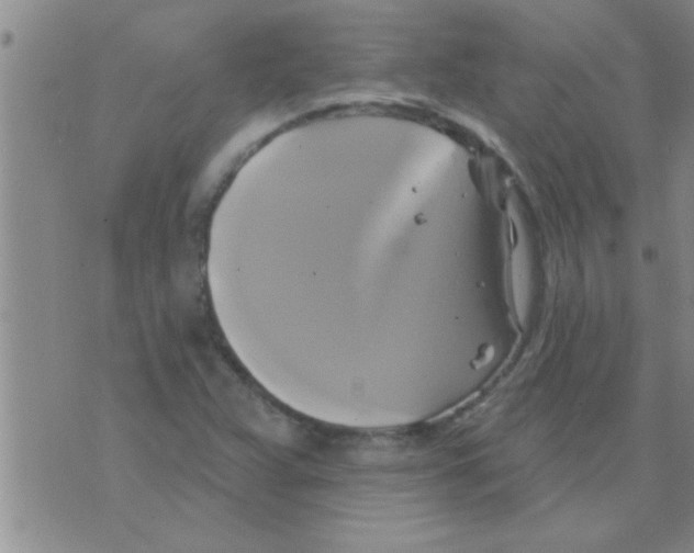 X0000075901359200610151806