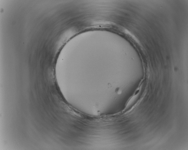 X0000075901362200610151806