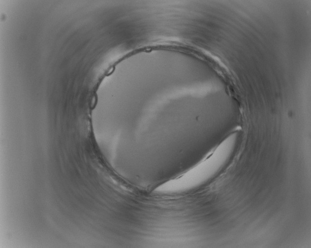 X0000075901363200610151806