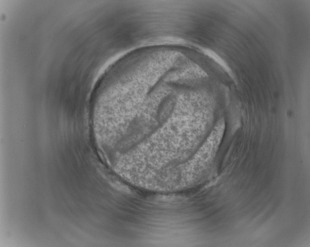 X0000075901364200610151806