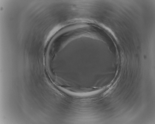 X0000075901365200610151805