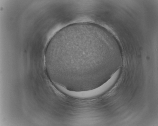 X0000075901366200610151805