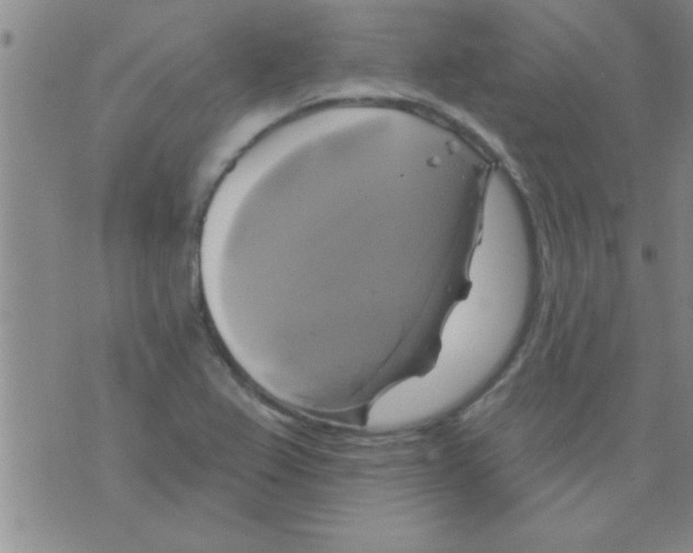 X0000075901367200610151805