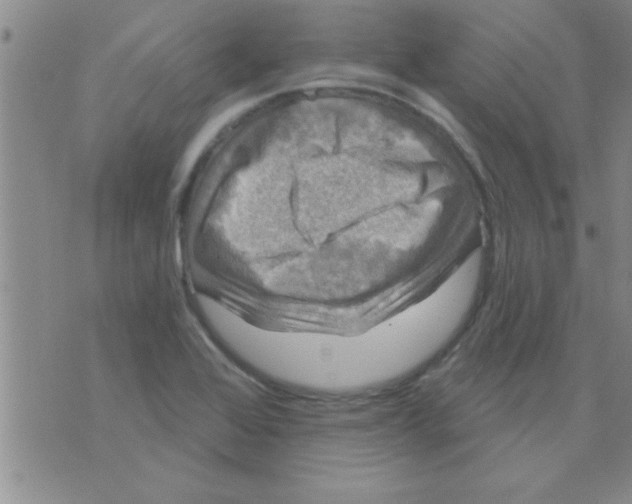 X0000075901368200610151805