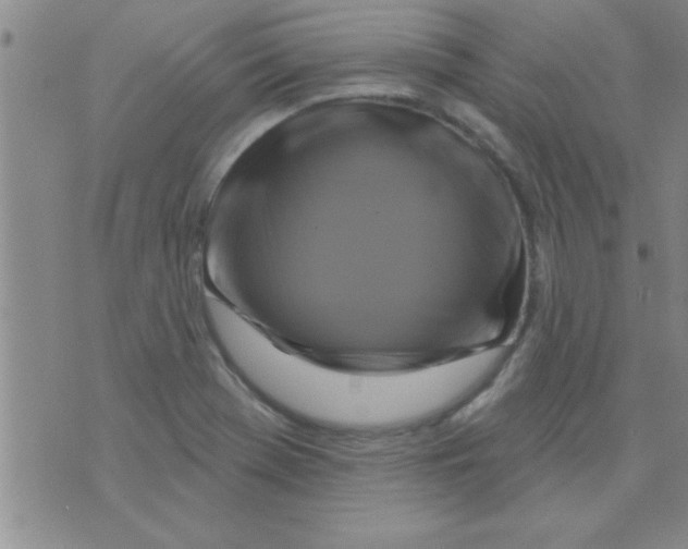 X0000075901369200610151805