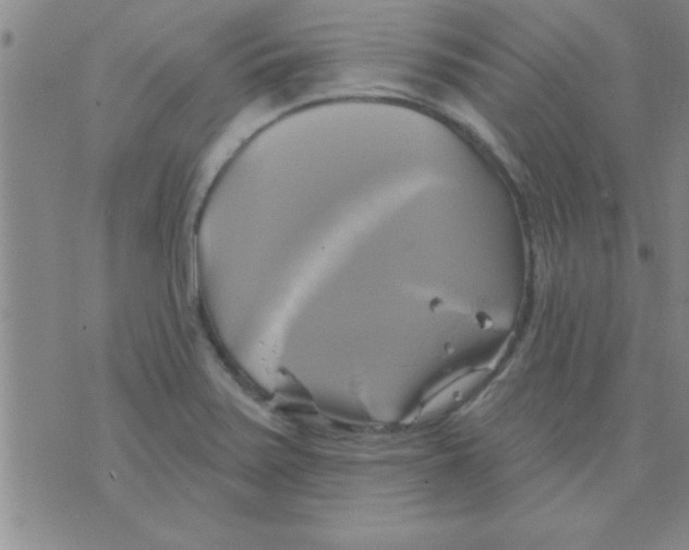 X0000075901371200610151805