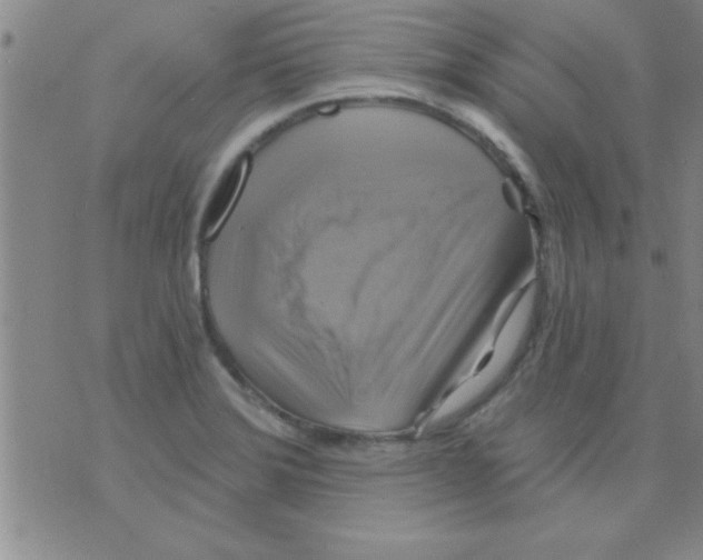 X0000075901372200610151805