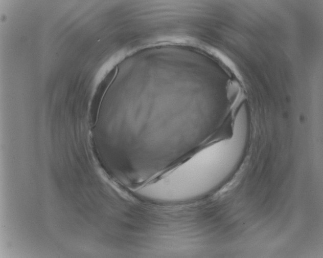 X0000075901373200610151805