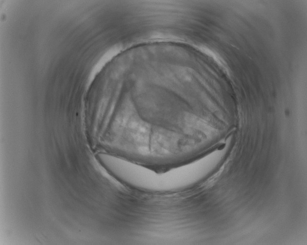 X0000075901374200610151805