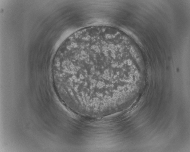 X0000075901375200610151805