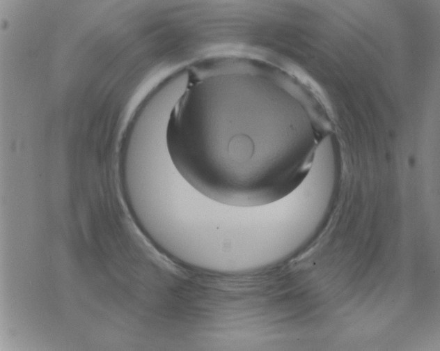 X0000075901376200610151805