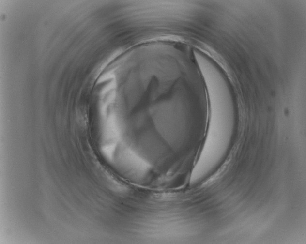 X0000075901377200610151805